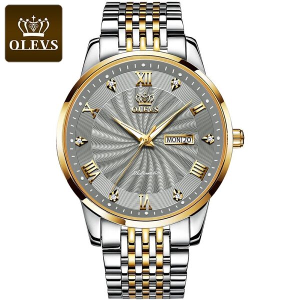 OLEVS 6630 Mechanical Automatic Business Stainless Steel watch For Men